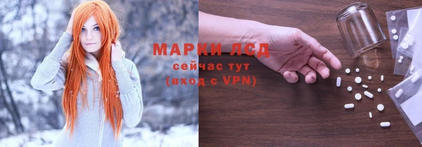 ПСИЛОЦИБИНОВЫЕ ГРИБЫ Верхнеуральск