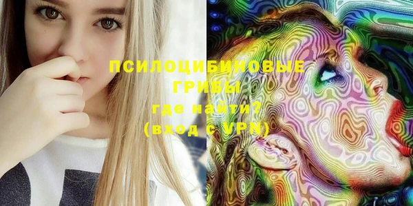 ПСИЛОЦИБИНОВЫЕ ГРИБЫ Верхнеуральск